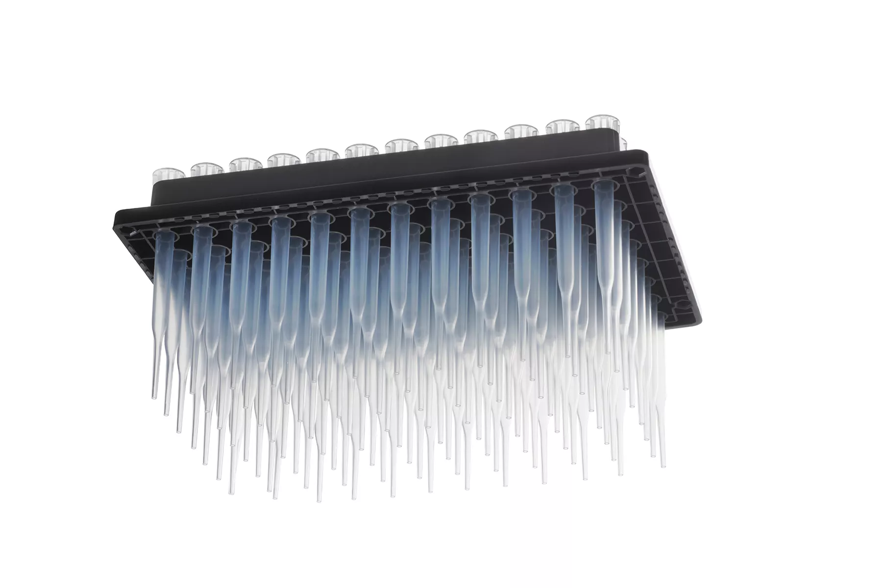 Pipette tips stored in a rack