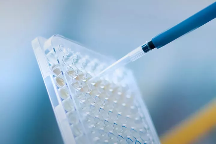 Zoom in on a transparent PCR plate being filled with a laboratory pipette.
